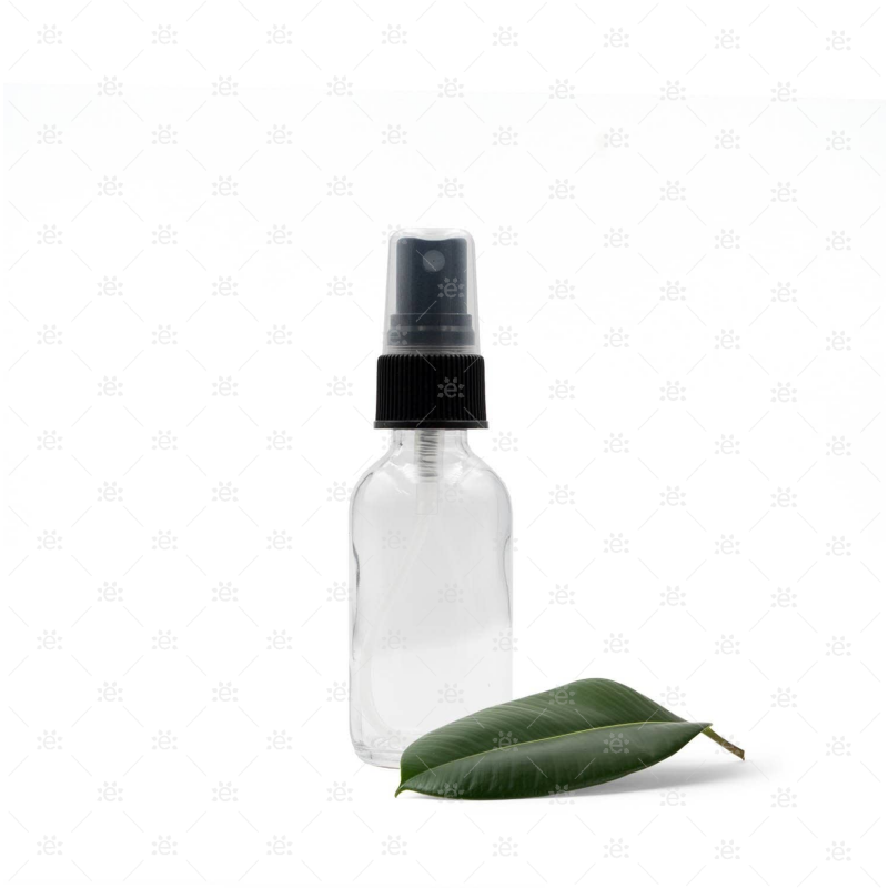 30Ml Clear Glass Bottle With Spray Head (3 Pack)