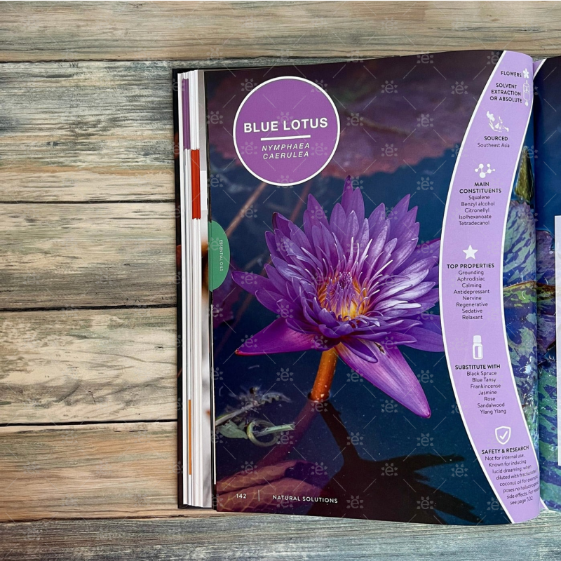 Essential Life Book - 10th Edition (Hardback) COMING SOON Books (bound)