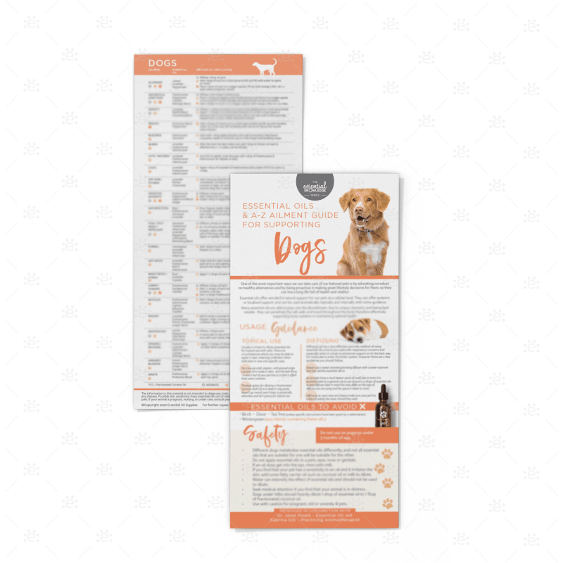 Dogs A-Z Of Ailments Rack Cards (Single)